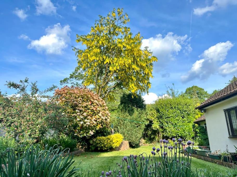 Linden Suite Goring Exteriör bild